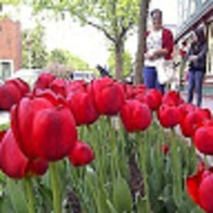 Meet your Posher, Chaty